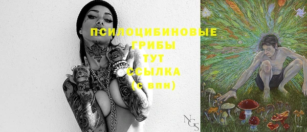 spice Зеленокумск