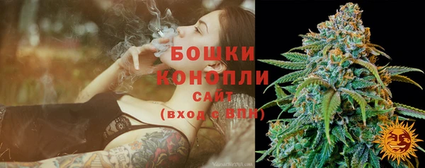 сатива Зеленодольск